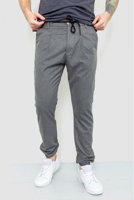Чоловічі штани джогери в смужку колір сірий 157R2003-1_AG-1-29 фото