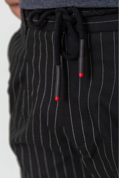 Чоловічі джогери в смужку колір чорний 157R2010_AG-1-29 фото