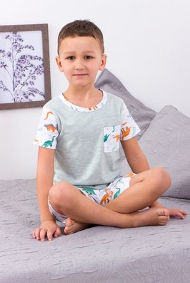 Піжама для хлопчика шорти і футболка  6250-002-1_ТК-6 фото
